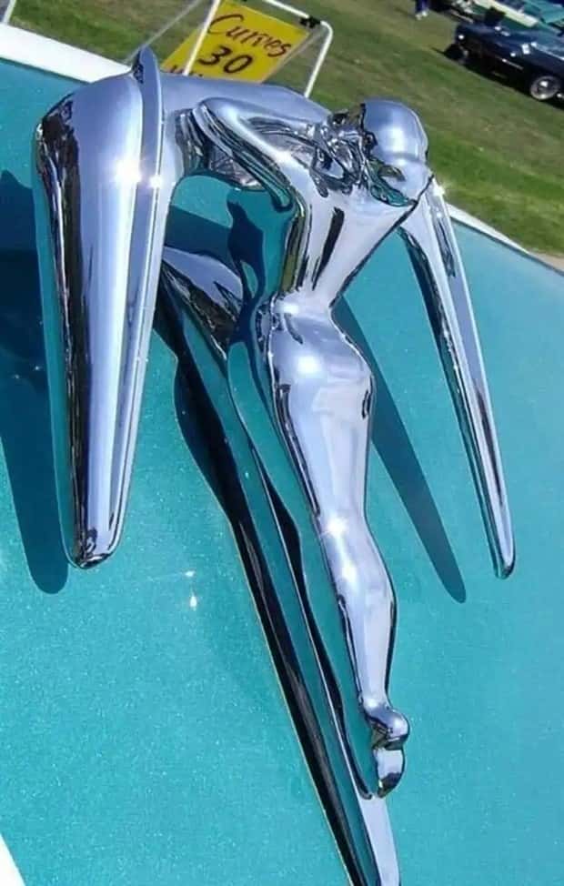 creative hood ornaments (26)