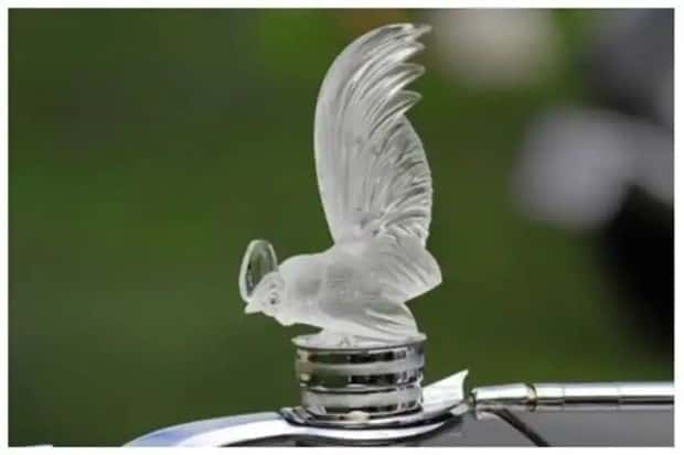 creative hood ornaments (27)