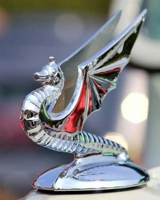 creative hood ornaments (28)