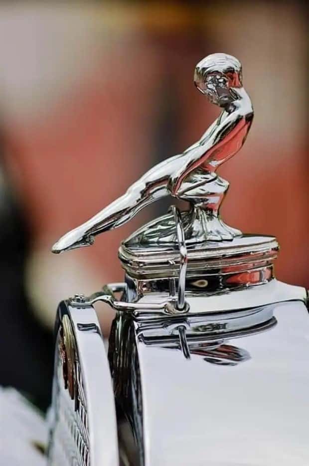 creative hood ornaments (3)