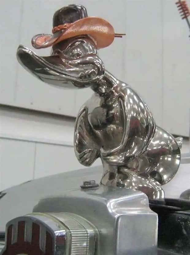 creative hood ornaments (4)