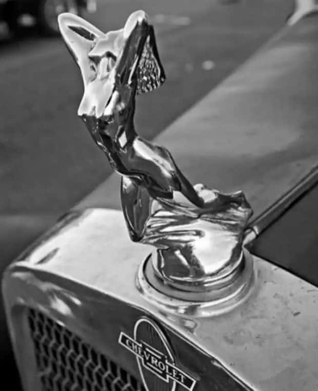 creative hood ornaments (5)