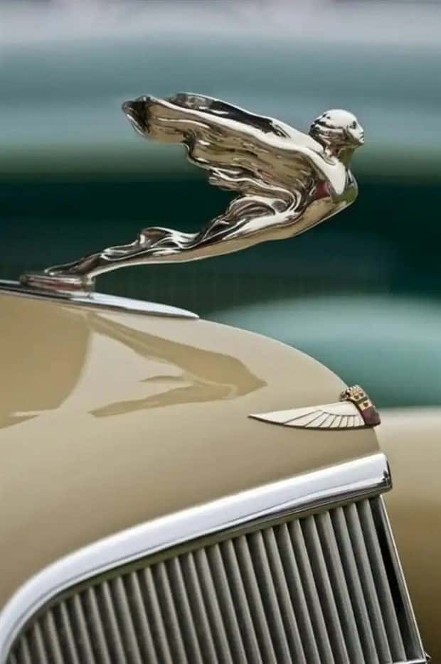 creative hood ornaments (6)