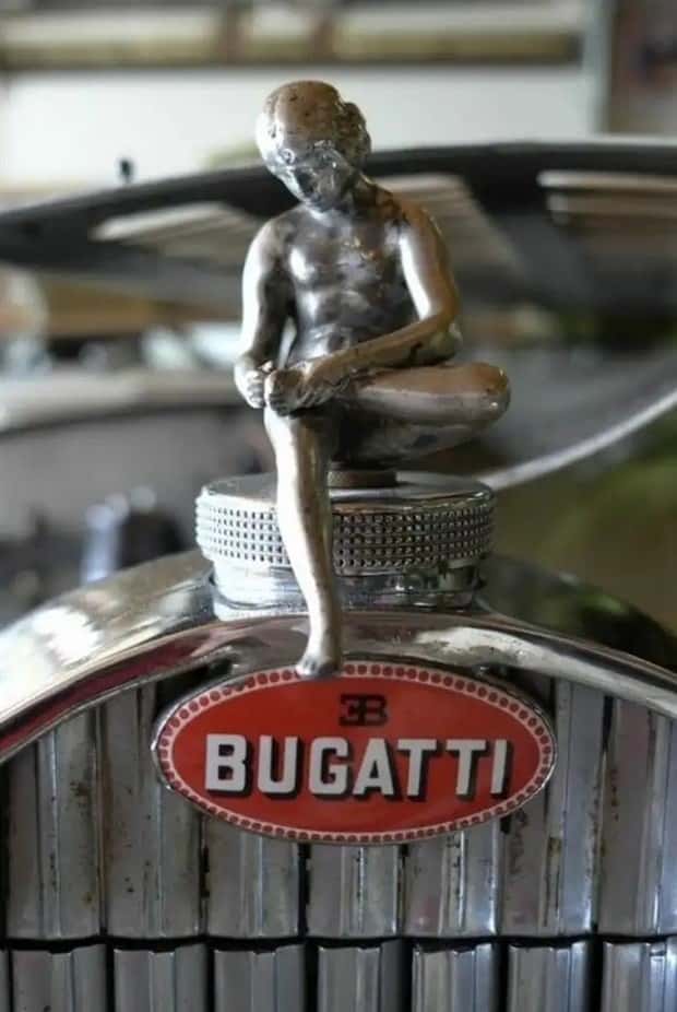 creative hood ornaments (7)