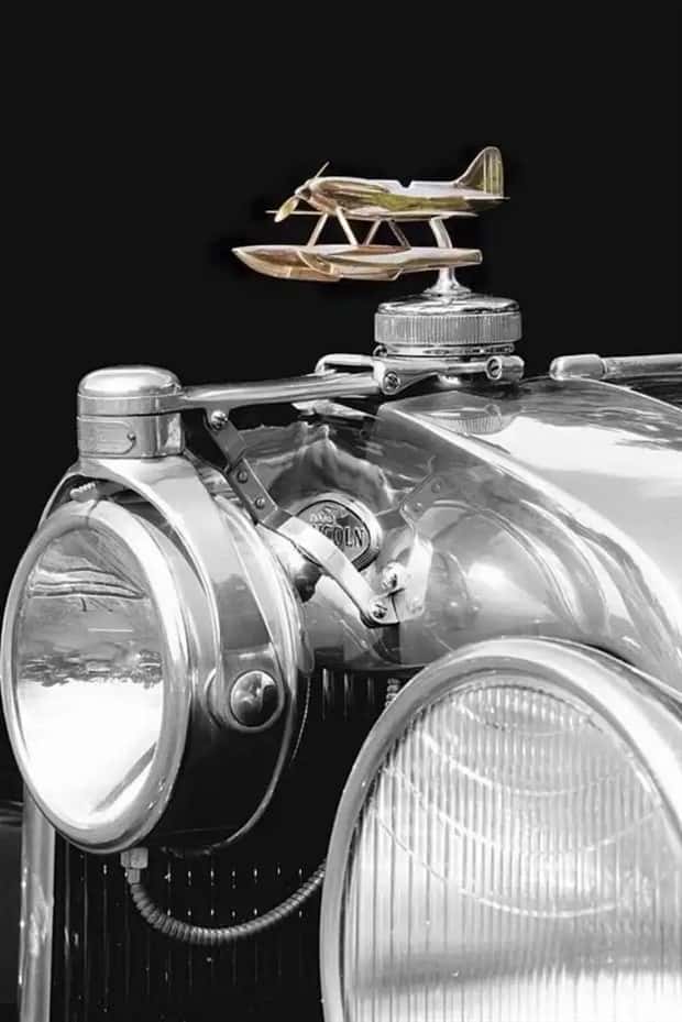 creative hood ornaments (9)