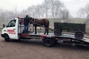 Strangely Funny Moments From Eastern Europe (31 photos)