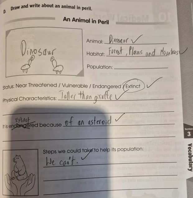 funny kids answers (13)