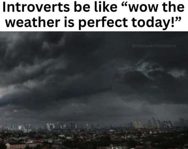funny memes (10)