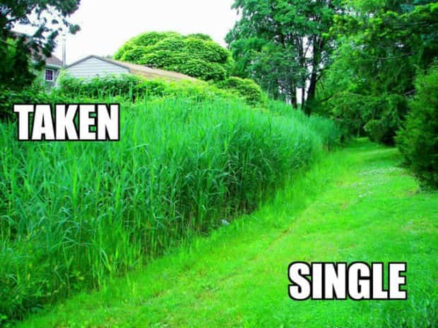 funny memes (12)
