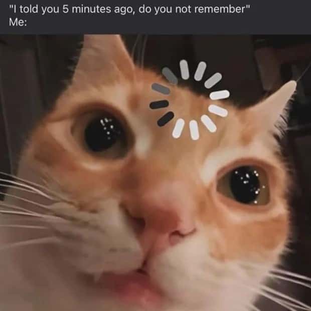 funny memes (3)