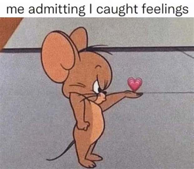 funny memes (8)