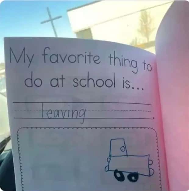 funny memes and pics (12)