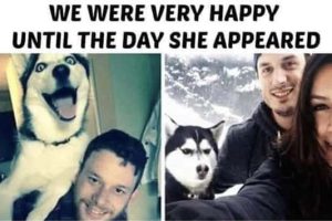 Funny Pics and Memes to Make You Laugh #225 (18 photos)