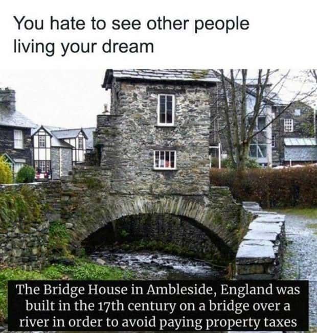funny memes and pics (19)