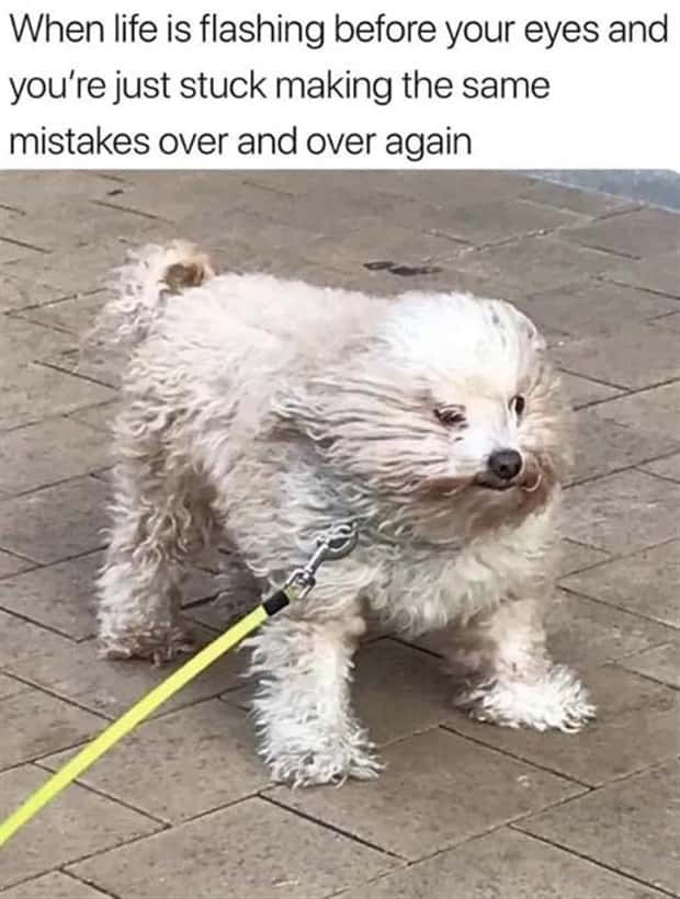 funny memes and pics (5)