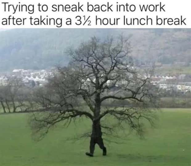 funny memes and pics (7)