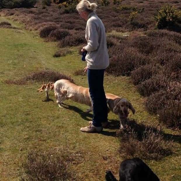 funny panorama images (12)