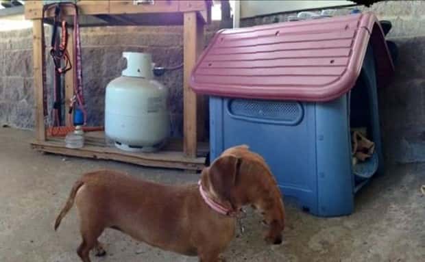 funny panorama images (14)