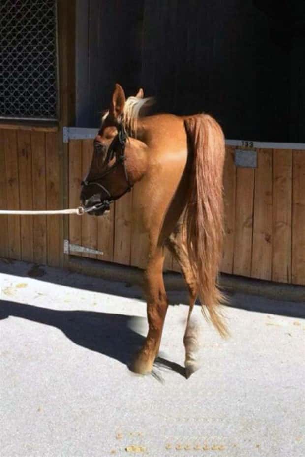 funny panorama images (15)