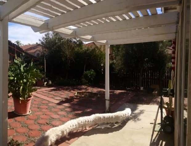 funny panorama images (16)