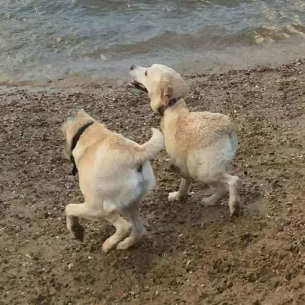funny panorama images (19)