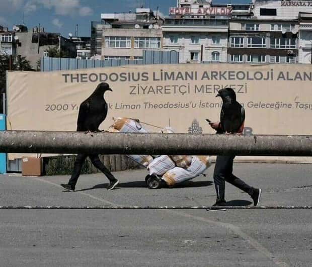 funny photos klyker (11)