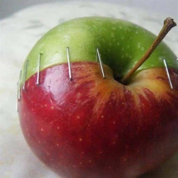 funny photos klyker (17)