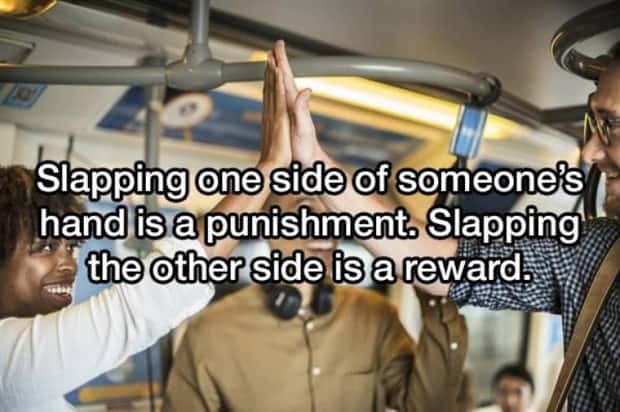 funny shower thoughts (14)