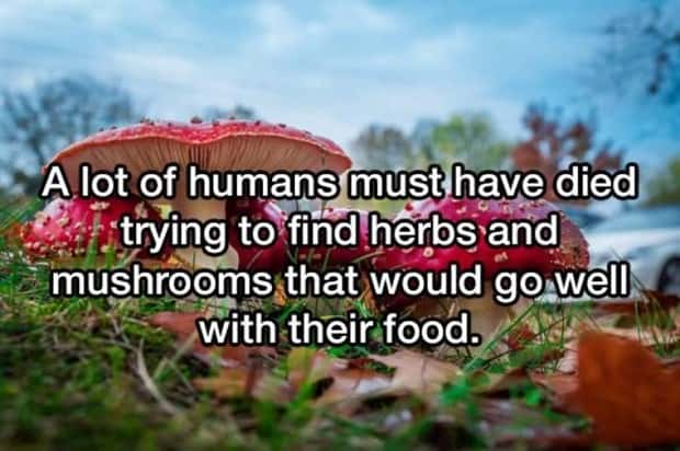 funny shower thoughts (16)