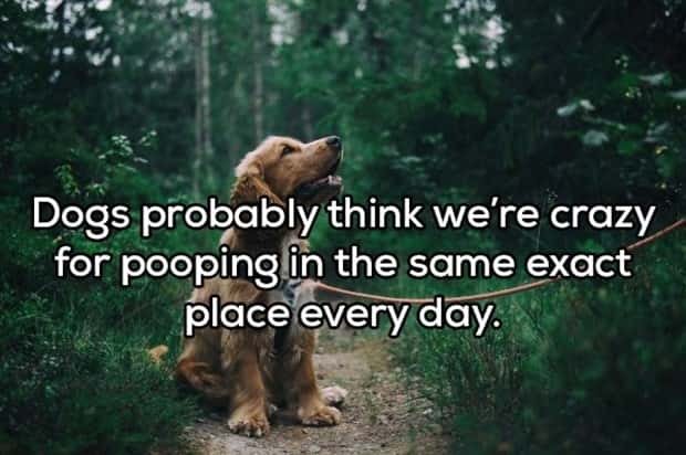 funny shower thoughts (16)