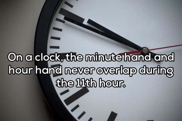 funny shower thoughts (9)