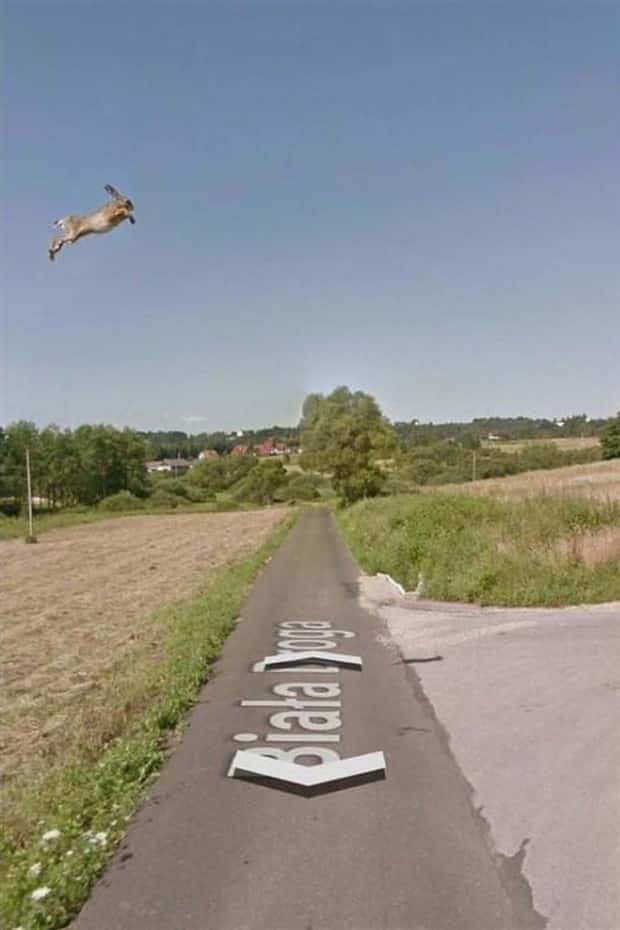 google street view snaps (5)