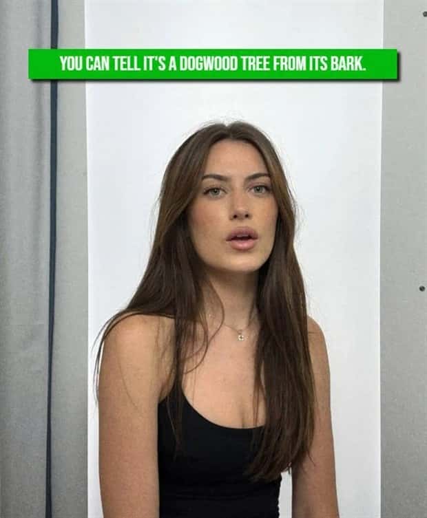 hot girls and jokes (9)