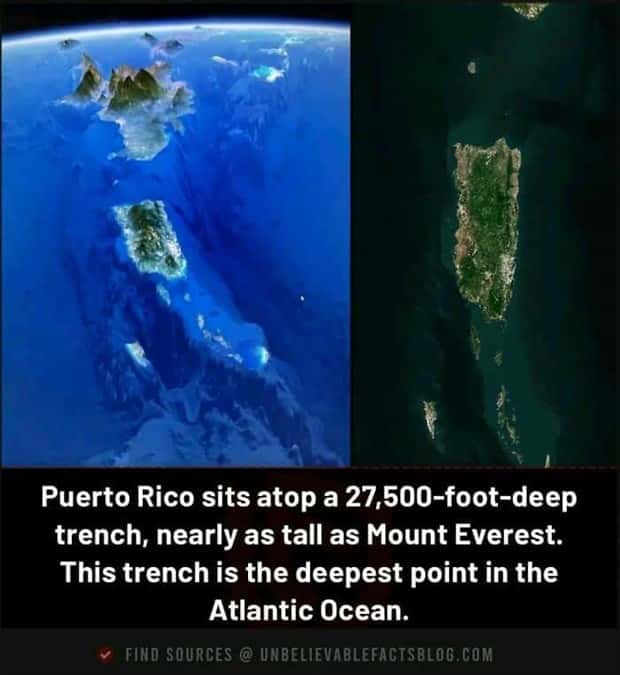 interesting facts (13)