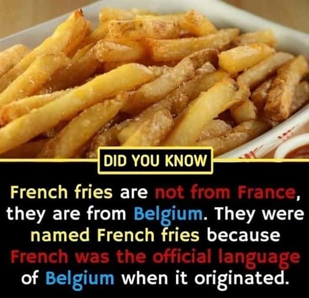 interesting facts (15)