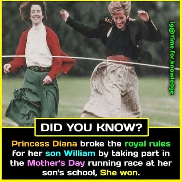 interesting facts (3)