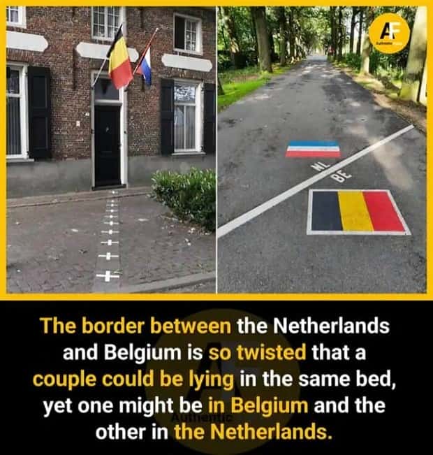 interesting facts (7)