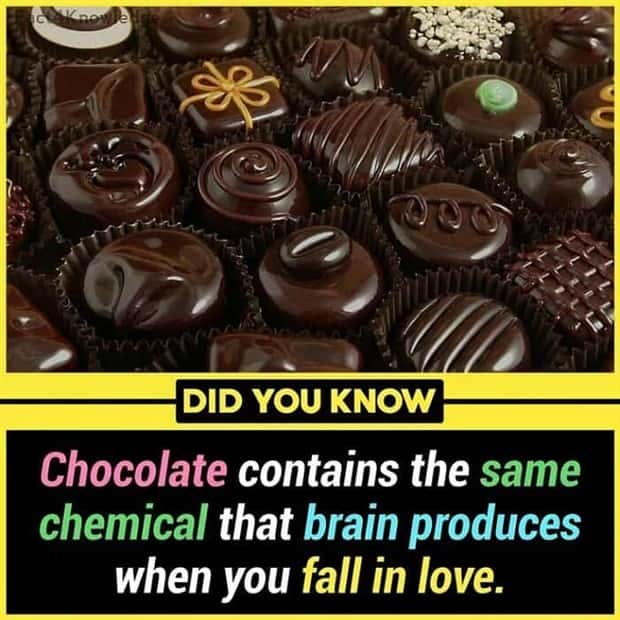 interesting facts (8)