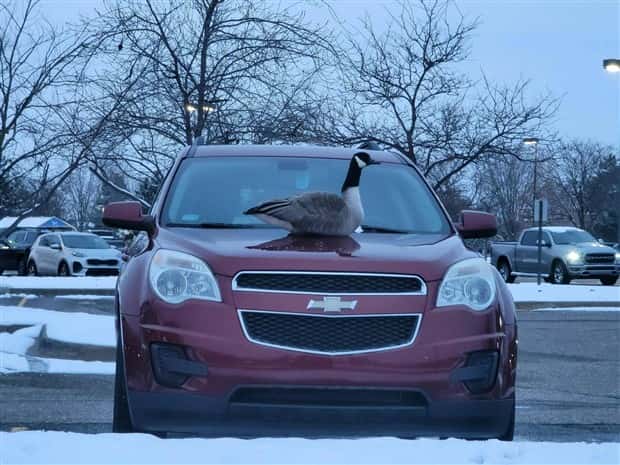 klyker picdump 9 11 2026 (23)