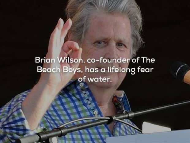 music facts (15)