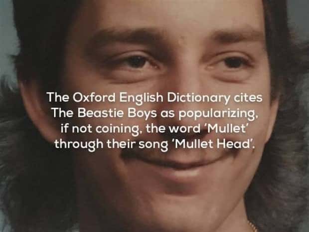 music facts (4)