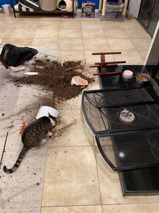 oh shit fails (3)