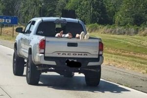 People Doing Things They Shouldn’t (24 photos)
