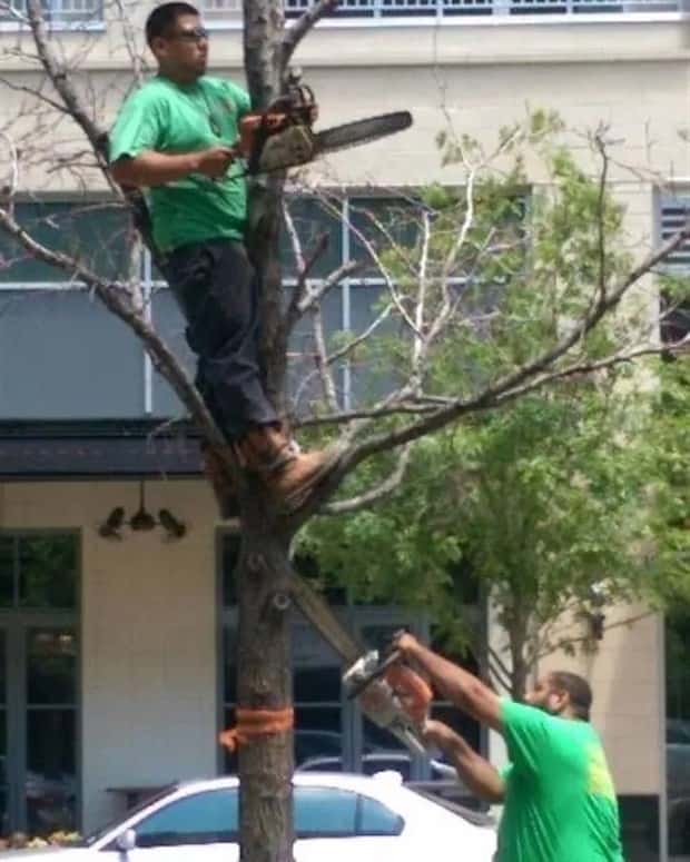 people doing stupid things (9)