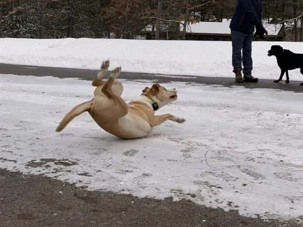 perfectly timed photos (19)