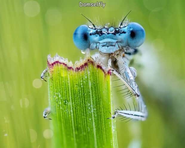 pictures with captions (14)