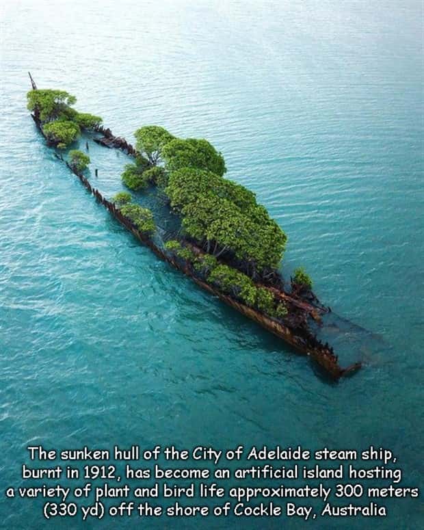 pictures with captions (5)