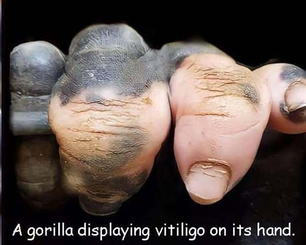 pictures with captions (8)