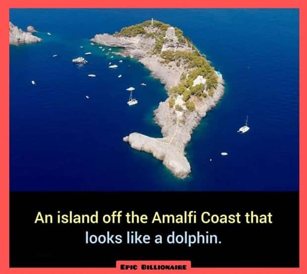 random cool facts (10)