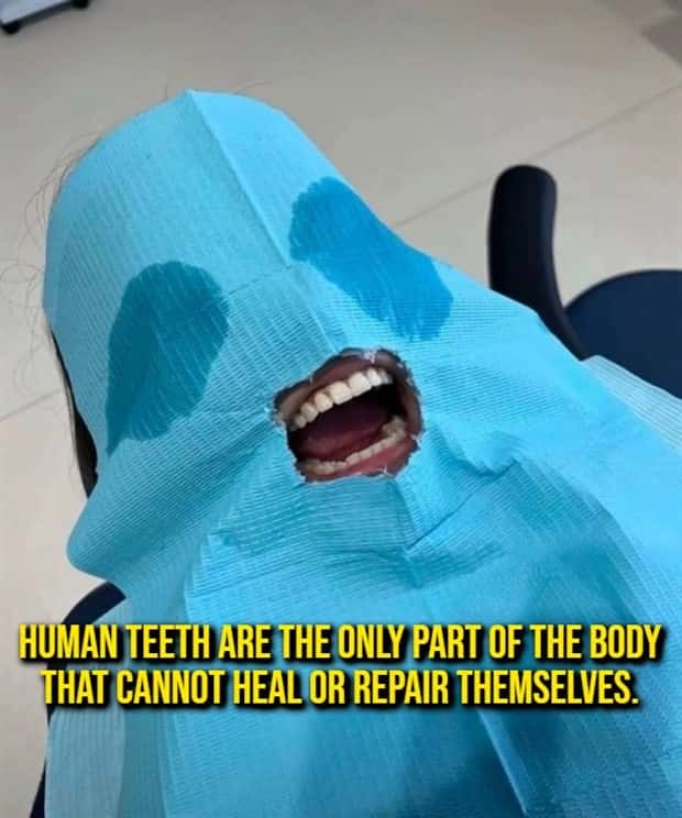 random cool facts (16)
